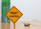 5 Chemical Treatments You Can Try At Home To Control Pests