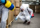 Top 5 Things to Think About When Hiring Commercial Pest Control for Your Business