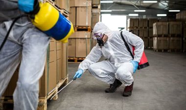 Top 5 Things to Think About When Hiring Commercial Pest Control for Your Business