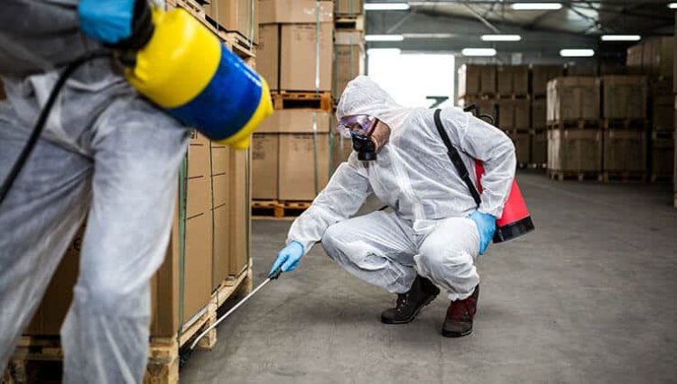 Top 5 Things to Think About When Hiring Commercial Pest Control for Your Business