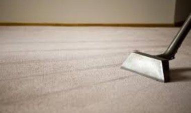 Cleaning Advice for Carpets: DIY Spot Removal