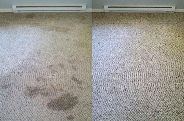 Why Choose Affordable Carpet Cleaning Services?