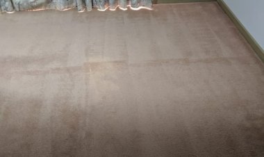 Examples Used By Expert Carpet Cleaners