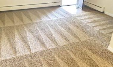 Reasons To Choose Carbonated Carpet Cleaning Services