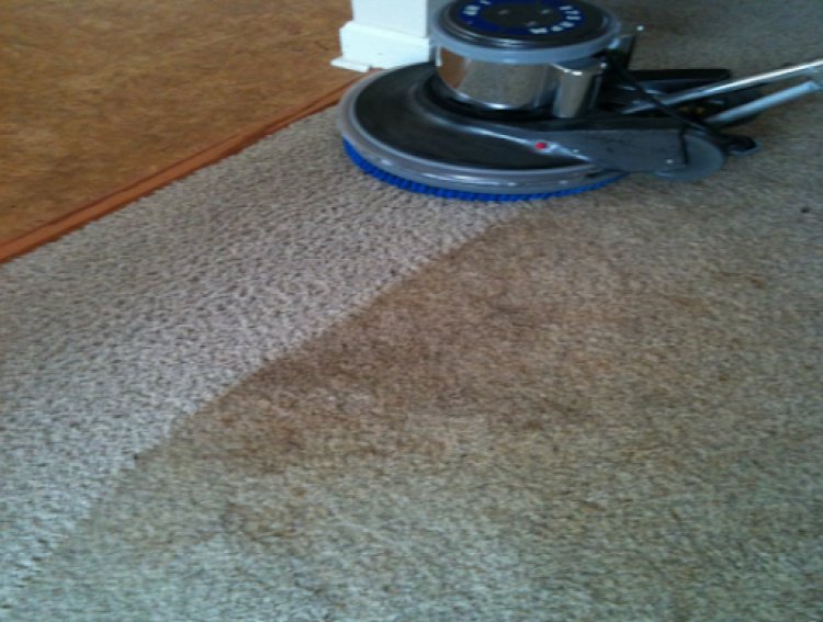 Cleaning Your Carpet Daily Is Crucial To Getting Rid Of Stains