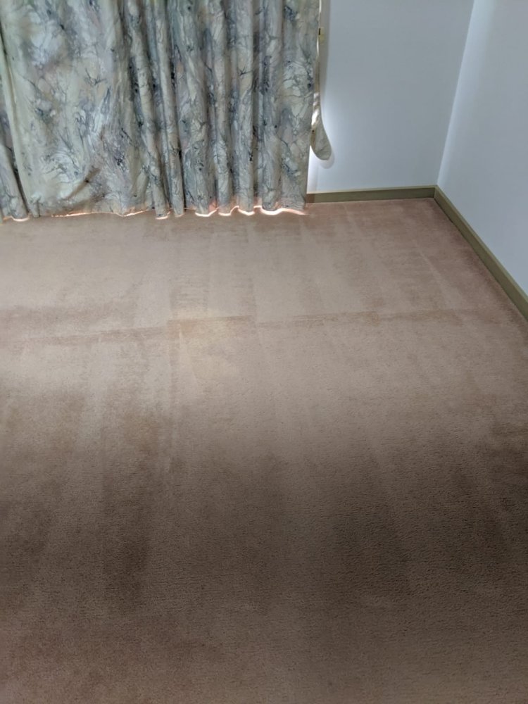Examples Used By Expert Carpet Cleaners