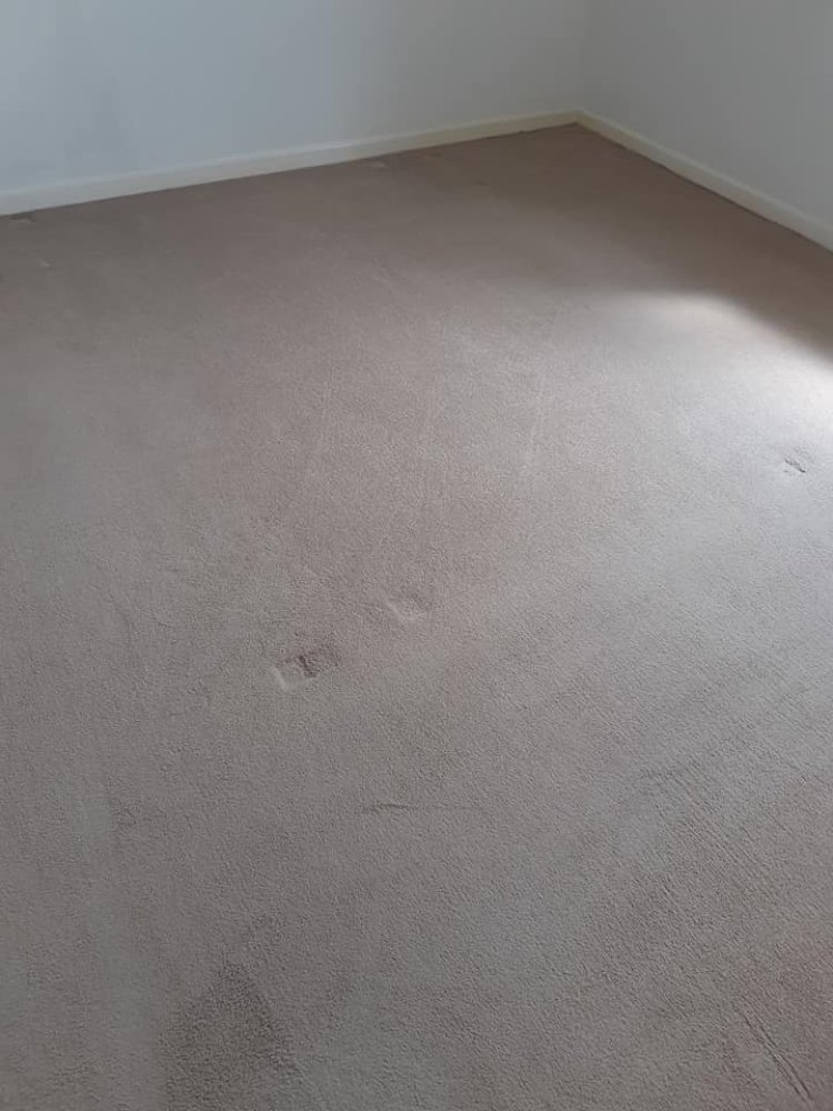 Unpleasant Carpet Smells? Some Of The Main Causes Are Listed Below