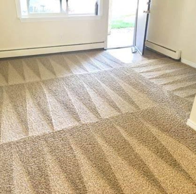 Reasons To Choose Carbonated Carpet Cleaning Services