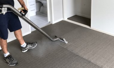 How Often Should You Clean Your Carpet?
