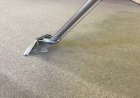 Know Here Tips To Keep Your Carpet Looking Fresh