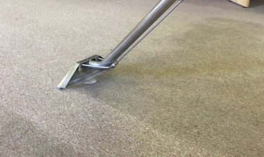 Know Here Tips To Keep Your Carpet Looking Fresh