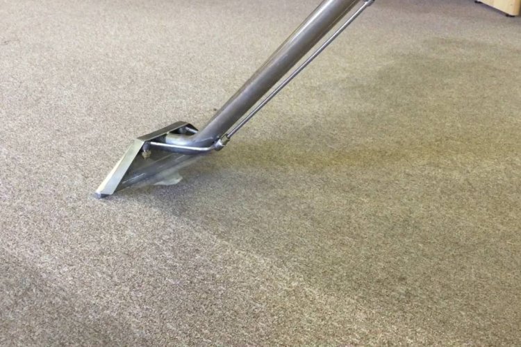 Know Here Tips To Keep Your Carpet Looking Fresh
