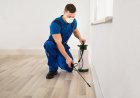 Why You Should Hire Professionals For Pest Control