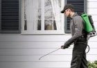 Pest Control Melbourne: Protecting Your Home and Health