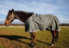 The Ultimate Guide to Purchasing the Perfect Summer Horse Rug in Australia