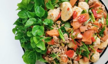 what causes movement of food inside the alimentary canal