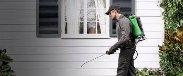 Pest Control Melbourne: Protecting Your Home and Health
