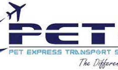 International Pet Travel in Melbourne: Navigating Borders with Your Furry Friends